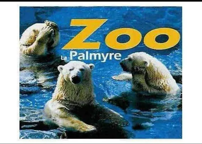 Campsite Mobil De 44m2 *