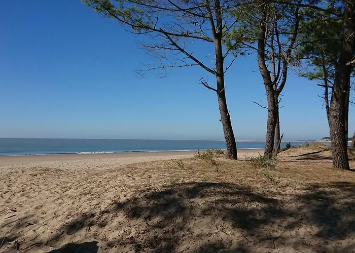 Mobil De 44m2 Campsite La Palmyre